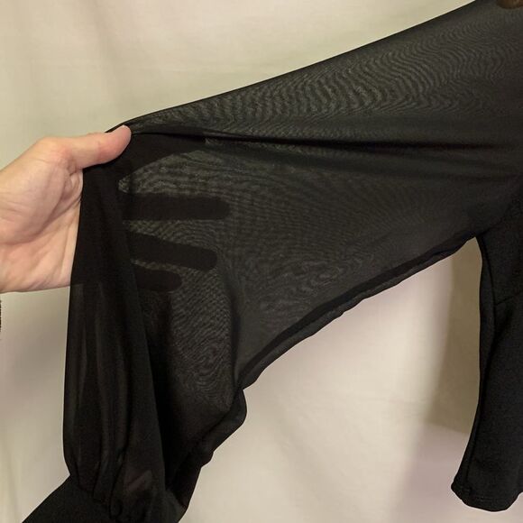 Blashe Black Hook and Eye with Chiffon Long Sleeves Crop Top Size S - Picture 11 of 14